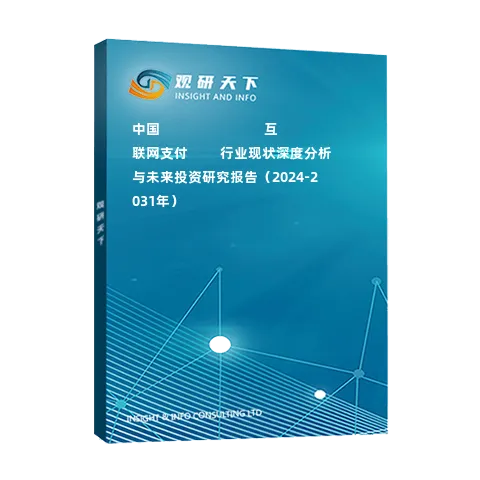 中國(guó)?????????????互聯(lián)網(wǎng)支付????行業(yè)現(xiàn)狀深度分析與未來投資研究報(bào)告（2024-2031年）